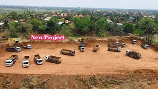 Starting Project!! Excavator Working Digging Dirt Loading Dump Trucks 24T,25T