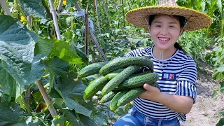 There are too many cucumbers to eat, try this method, 3 children rush to eat