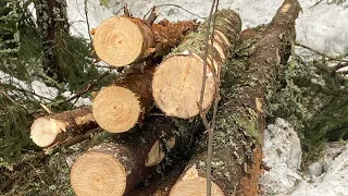 Polttopuiden kaatoa omassa pikku metsässä ja metsurimitan korjaus 🙂