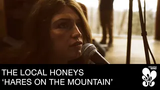Hares on the Mountain | The Local Honeys Live at Cathedral Domain | (@thelocalhoneys)