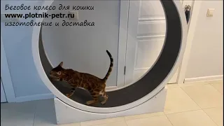 Беговое колесо для кошек, открытое