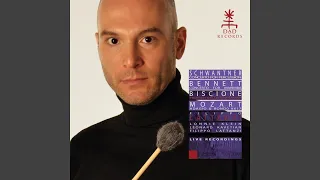 Concerto for Percussion and Orchestra: III. Ritmico con brio