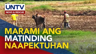 Mga nagdeklara ng state of calamity dahil sa El Niño, umabot na sa 103 — TF El Niño