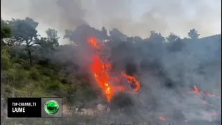 Top Channel/ Tjetër vatër zjarri në Lezhë, flakët u afrohen shtëpive