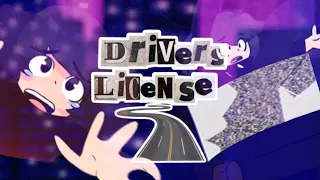 Drivers License (animatic)