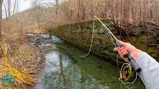 My First Time Fly Fishing in MONTHS! (Trout Fishing)