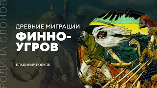 Древние миграции финно-угров. Владимир Волков. Родина слонов №192