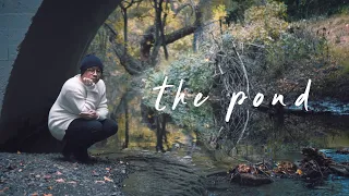 Rosendale - The Pond (Lyric Video)