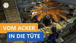 Wie werden Kartoffelchips hergestellt? - Frage trifft Antwort | Planet Schule