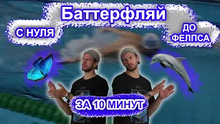 Баттерфляй с нуля | Техника плавания баттерфляем | УДИВИ ВСЕХ В БАССЕЙНЕ