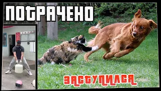 Потрачено. Заступился. Лучшие приколы, смешные видео и фейлы