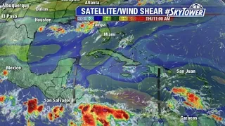 Tropical weather forecast: August 15, 2019