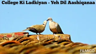 College Ki Ladkiyan (Yeh Dil Aashiqanaa) - Udit Narayan Full Audio.