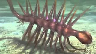 Strangest Prehistoric Creatures To Roam The Earth