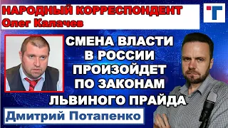 Потапенко: Смена власти в России произойдет по законам львиного прайда.