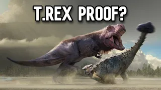 Did T.rex Actively Hunt Ankylosaurus?