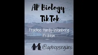 AP Bio TikTok: Practice Hardy-Weinberg Problem