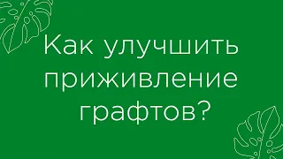 Как улучшить приживление графтов?