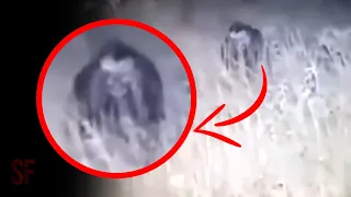 10 Scary Videos NOT for the Faint of Heart