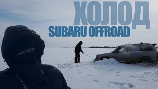 Замерзаем в полях. SUBARU TLC NISSAN SUZUKI offroad