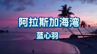 阿拉斯加海湾 - 蓝心羽（抖音热门歌曲）「难道你看不出我很爱她 怎么明明相爱的两个人 你要拆散他们啊」  【动态歌词】