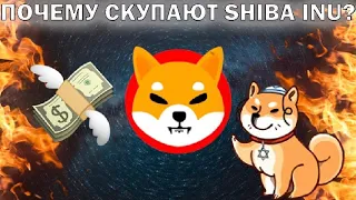 ПОЧЕМУ SHIBA INU СКУПАЮТ ПРЯМО СЕЙЧАС? ВСЕ ЧТО ВАМ НУЖНО ЗНАТЬ О НАГРАДАХ RIOSHI!