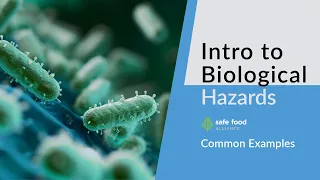 HACCP 101: Common Examples of Biological Hazards