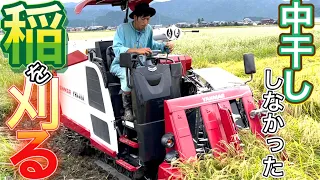 【ヤンマーコンバイン新型】湿田の稲刈りをピカピカのコンバインでやってみた！コシヒカリ・YH448A・2021