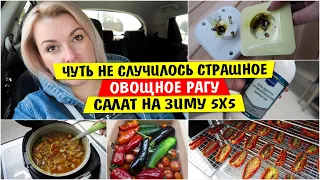 Чуть не случилось СТРАШНОЕ / Рагу овощное / Салат на зиму 5х5 Что приготовить из овощей Vika Siberia