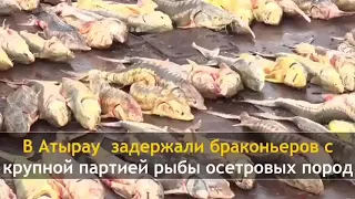 Жанбай браконьеры