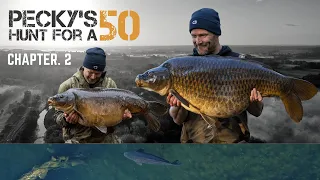Pecky's Hunt for a 50 | Part 2 | Darrell Peck | Extract