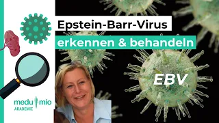 Epstein-Barr-Virus (EBV) erkennen und behandeln 🥗 Kristine Fredriksson