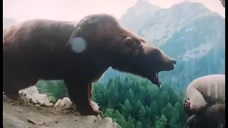 The Bear  Stared Down Scene  1988