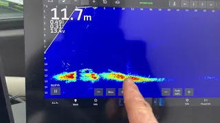 Garmin Panoptix LiveScope LVS32 and LVS34 tested