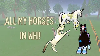 All of my horses in wild horse islands! (Read desc)