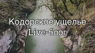 Кодорское ущелье. Live-блог