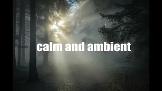 [Playlist] Echoes in the Fog: Ambient Forest Playlist