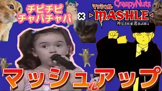 猫ミームのあの曲×マッシュルOP【chipi chipi chapa chapa×Bling-Bang-Bang-Born】マッシュアップ