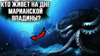 Ученые не могу поверить своим глазам. Это Никто не Должен Был Увидеть