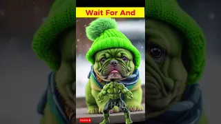 🔥 Avengers But Puppy Wearing a winter hat and scar 🐶  #shorts #marvel #hulk #spiderman