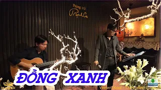 Đồng Xanh | Lê Tâm | Phòng Trà Trịnh Ca | Nhạc Phòng Trà Hay Nhất