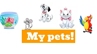 My pets song | Мои питомцы | Песня на английском языке для детей | Kids box 1 | Simple English song