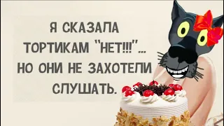 ✔️Расстройство желудка — это когда желудок расстроен, что его плохо кормят. Анекдоты с Волком.