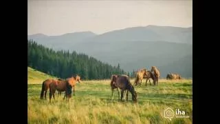 Природа. Украина. Красота Карпат./Nature. Ukraine. Carpathian Beauty