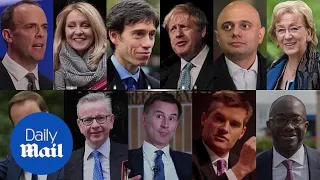 Tory leadership race: Who are the contenders so far?