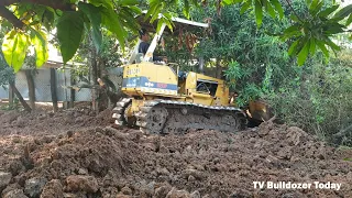 New Project KOMATSU Dozer D20 Pushing ​In The Mango Plantation And Dump Truck 5Ton Dumping Soil