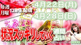 【週間占い】2024年4月22日(月)〜28日(日)状況スッキリしていく　威力の強い満月　あるべき方向に動き出す