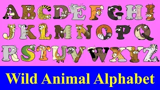 Wild Animals A-Z for kids / Alphabetimals ABC / Alphabet Animal A-Z / ABC animal flashcards