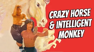 Wu Tang Collection - Crazy Horse & Intelligent Monkey WIDESCREEN