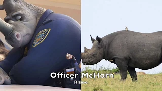 Zootopia Real Life All Characters